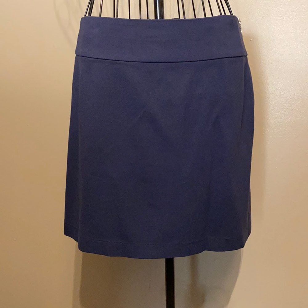 Banana Republic mini skirt